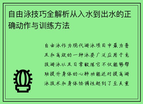 自由泳技巧全解析从入水到出水的正确动作与训练方法